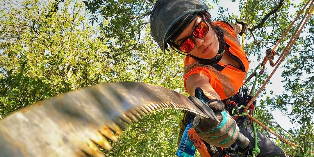 NZ Arborists