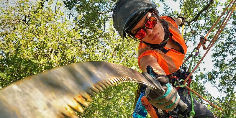 NZ Arborists