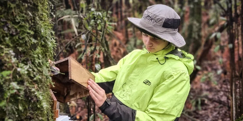 Predator Free NZ