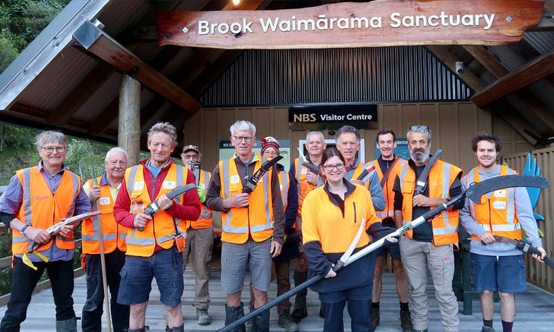 Brook Santuary, Nelson