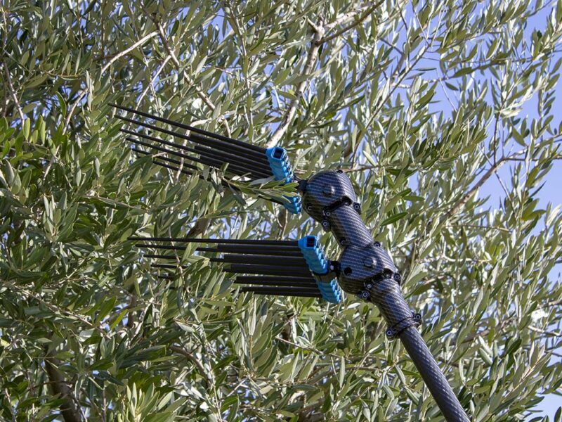 Olive Harvesting Campagnola and Agrotechnic Silky Store New Zealand