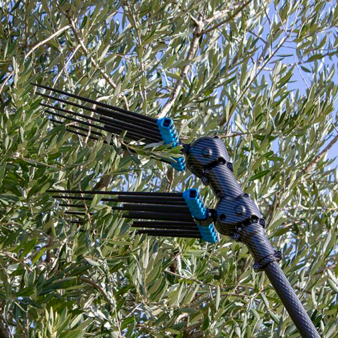 Campagnola Olive Harvesters New Zealand