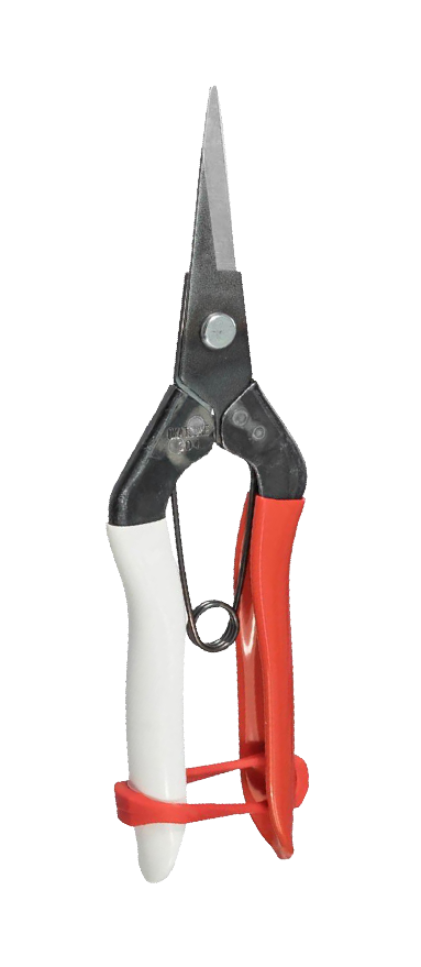 Secateurs & Snips
