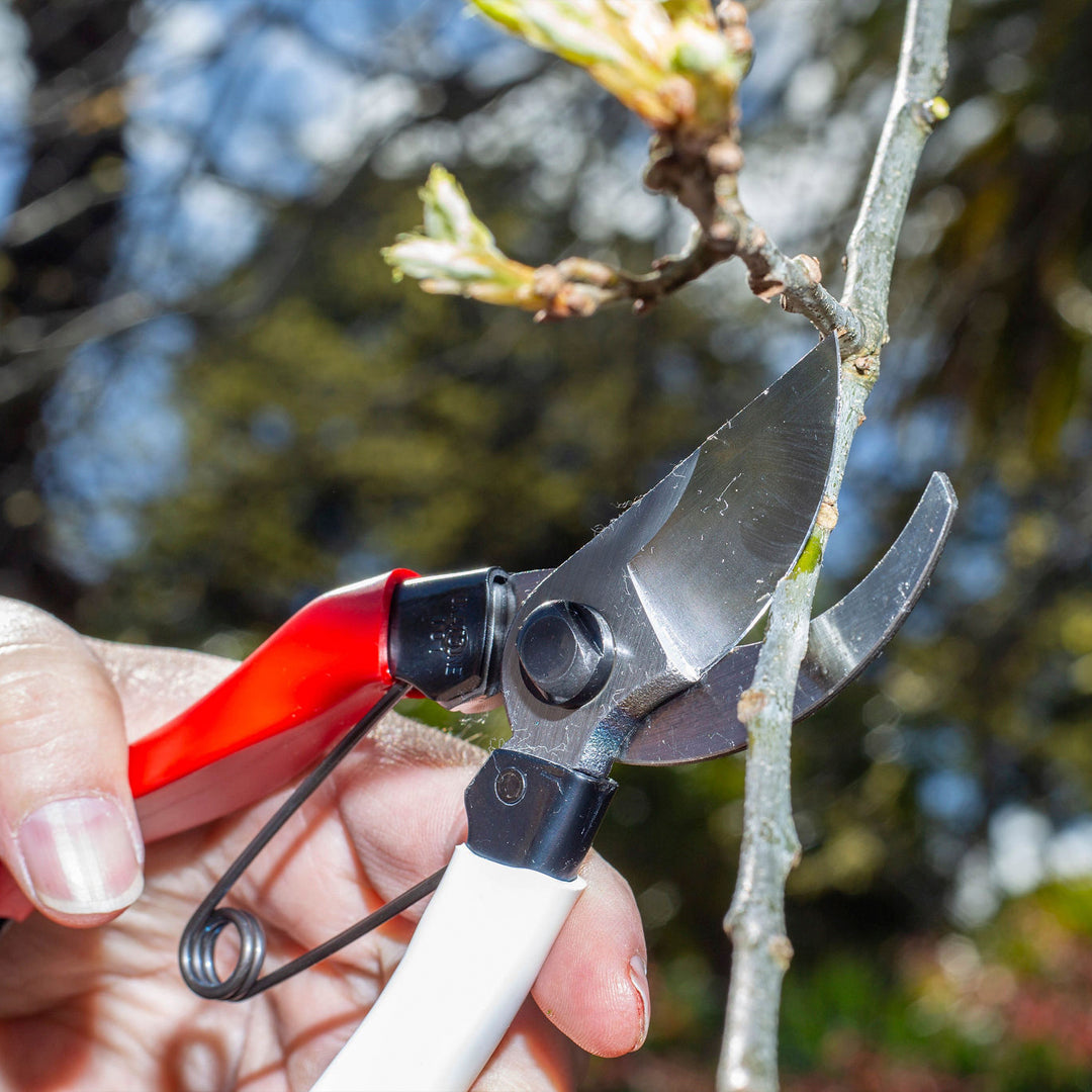 Okatsune Pruning Tools New Zealand