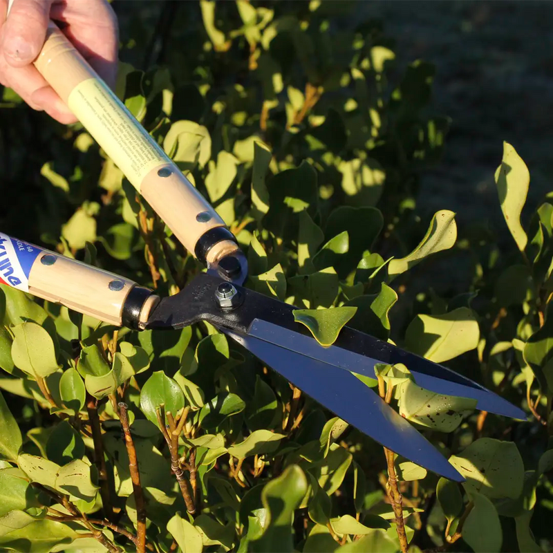 Secateurs, Snips & Shears (Garden)