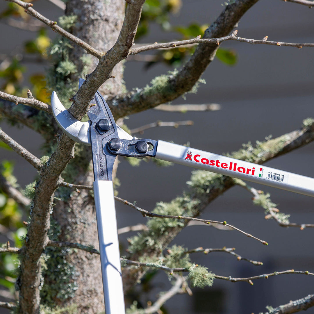 Castellari Pruning Tools New Zealand