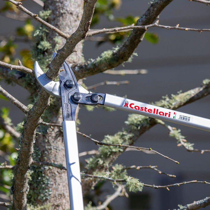 Castellari Pruning Tools New Zealand