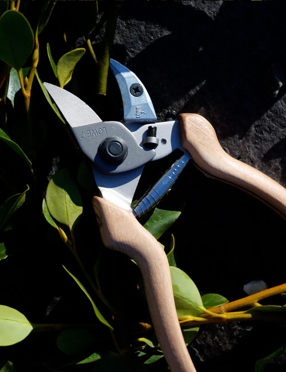 Quality Wooden handled secateur NZ