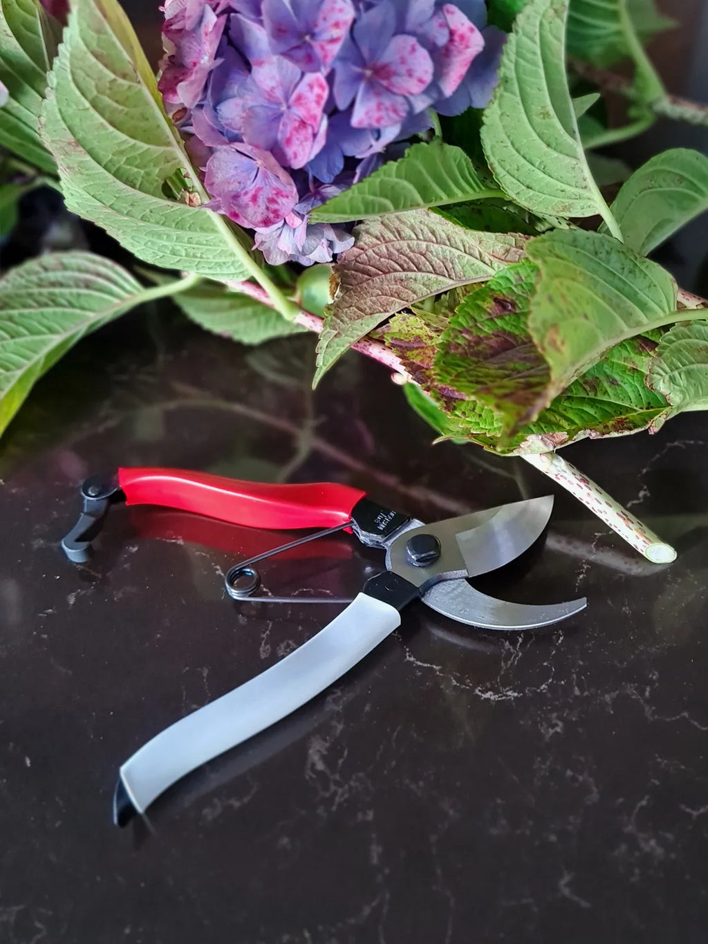 Japanese bypass secateurs